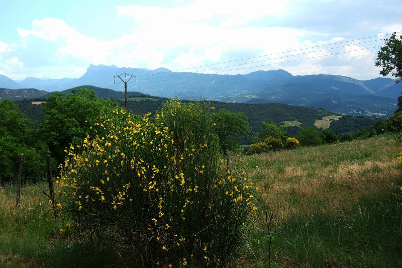 2011-05- (1433).JPG